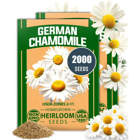 2000 graines de camomille, graines de fleurs, convenant aux plantes en pot et aux jardins extérieurs (1/5)