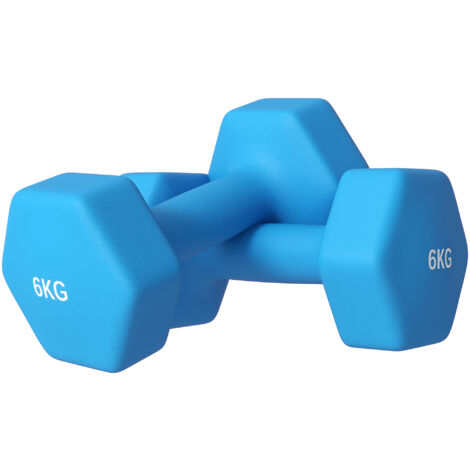 Ensemble 2 haltères hexagonaux 2x6 kg métal plastique poignée antidérapante 22x10x10 cm bleu clair (1/5)