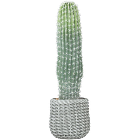 Cactus artificiel 66 cm, décoratif avec pot, pour intérieur, vert (1/5)