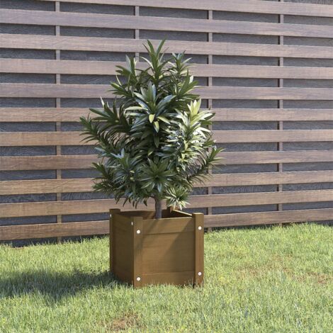 Jardinière extérieur Marron miel 31x31x31 cm Bois de pin massif vidaXL (1/5)