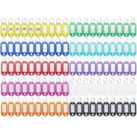 100 Pièces Porte-Clés, Étiquettes de Clé en Plastique, Inscriptibles Porte Clef Couleur en 10 Couleurs, en étiquettes d'identification avec Porte-Clé, pour Clefs, Bagages ou bureau