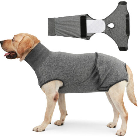 Vêtement de Protection Post Opératoire pour Chien Chat Stérilisation Cicatrisation Confortable Léger Respirant Alternative à la Collerette Élisabéthain (1/4)