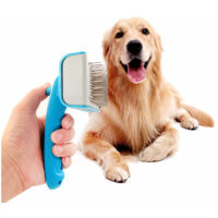 Brosse pour chat pour chien, brosses pour animaux de compagnie, brosse pour poils longs et poils courts, poils propres pour animaux de compagnie, élimine sans effort les nœuds et les nœuds