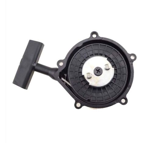 DéMarreur de Moteur pour Gy6 150Cc 180Cc 200Cc 250 260 Traction Manuel Jinlang Jinling JLA-925E, JLA-931E ATV UTV (1/4)
