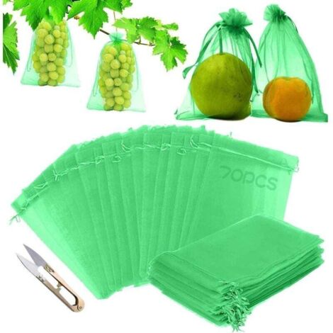 Sachet Protection Raisin,70 pièces Sac Protection Fruits,Sachets en Organza Respirant 30cm x 20cm,Sachet Protection Fruits,Sac Protection Raisin (1/4)