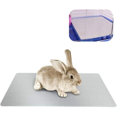 Tapis de Refroidissement pour Lapin, Coussin de refroidissement pour Lapins, Cochon d'Inde, Chinchilla, Hamster et Autres Petits Animaux Restent au Rrais Cet Été - Assiette Cool Lapin(30x20cm) (1/4)