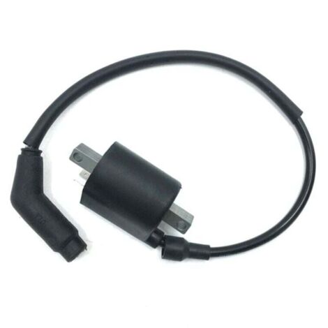 Bobine d'allumage et fil neufs 22012 pour Linhai 260 300 400 500 520 550 EFI ATV Quad UTV (1/4)