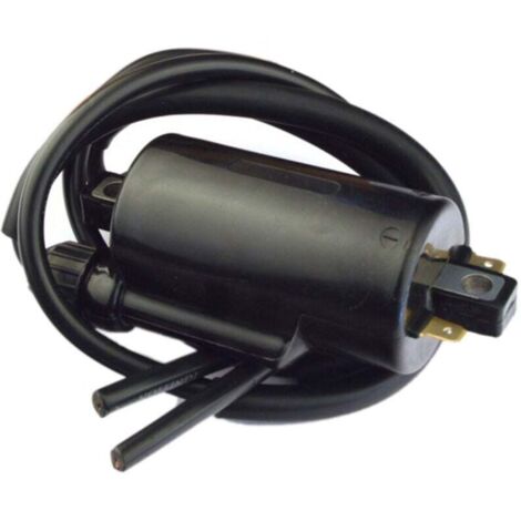 Bobine D'Allumage pour KZ1000 KZ1100 KZ1300 KZ500 KZ550 KZ650 KZ750 Z400 CB1000C CB1100F CB650 CB650C (1/4)