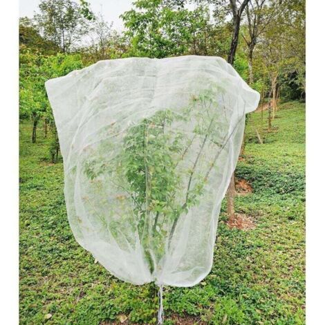 Filet anti-insectes et anti-oiseaux pour arbres fruitiers (1,8 x 1,8 m) avec fermeture éclair (extérieur/jardin) (1/4)
