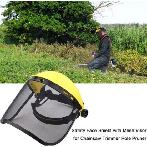 Protection Oculaire Meuleuse établi Lot De 2 Protections Oculaires Acier Inoxydable Pour Meuleuse D'Établi Housoutil Protection Oculaire Meuleuse établi Lot De 2 Protections Oculaires Acier Inoxydable Pour Meuleuse D'Établi Housoutil