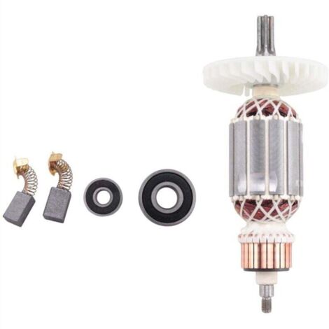 Ancre de Rotor 220 Volts pour Marteau Rotatif à Tige Cannelée Modèles DH40MRY DH40M DH40MR DH40SR DH40FR (1/4)