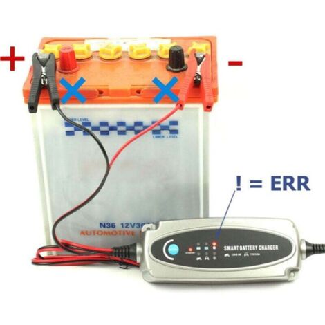 Chargeur Intelligent Batterie Voiture 12V - Indicateur d'État 56-382 - Prise UE Incluse - Protection Surtension (1/4)