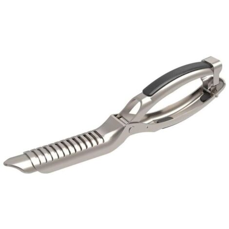 Outil Retirer Membrane Côtes Levées Barbecue Acier Inoxydable Préparation Viande Design Ergonomique 1 Pièce Professionnel (1/4)