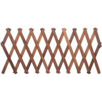 Focket Clôture en Treillis, étendue à 120 x 35cm, 155 x 30cm, 180 x 25cm, Mur en Treillis en Bois, Treillis Extensible en pin pour Plantes grimpantes, vignes et Fleurs pour la pièce A