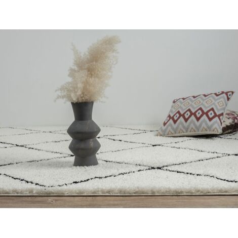 Tapis à poils longs haut de gamme pour salon/chambre à coucher, moelleux, insonorisant,200 x 290 cm (1/5)