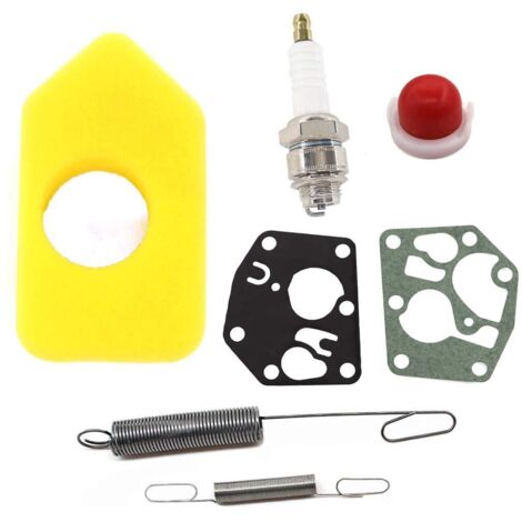 Filtre à Air avec Carburateur à Membrane - Pour Moteurs Quattro 3,5 - 4,5 CV, Kit Complet de Remplacement (1/5)