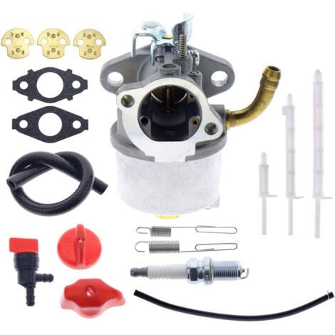 Carburateur de remplacement références 798917, 794587, 791953, 791292 compatible moteurs 12A000, 12C000, 12D000 pour souffleuses à neige et outils de déneigement (1/4)