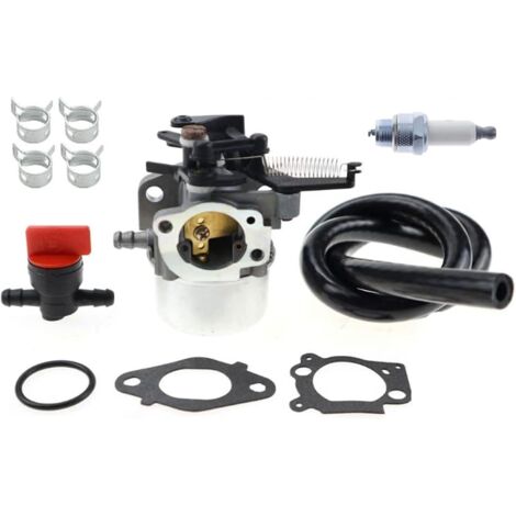 Kit Carburateur Référence 796608 Compatible Briggs & Stratton, adapté aux moteurs références 591137 590948 121000 12Q000 111000 11P000 de jardin (1/4)