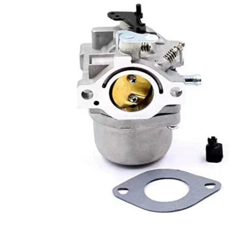 Carburateur adapté aux références Briggs & Stratton 799728, 498027, 498231 et 499161, solution fiable pour la réparation de moteurs et équipements variés. (1/5)