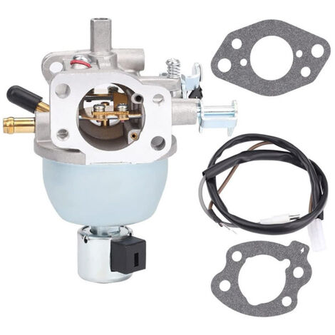 Carburateur références 350775, 350776, 350777 compatible moteur Briggs & Stratton référence 846944 pour matériel jardin (1/5)
