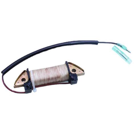 Bobine d'allumage et de charge pour moteur hors-bord Tohatsu deux temps 5 chevaux, compatible référence 369-06021-0. (1/5)