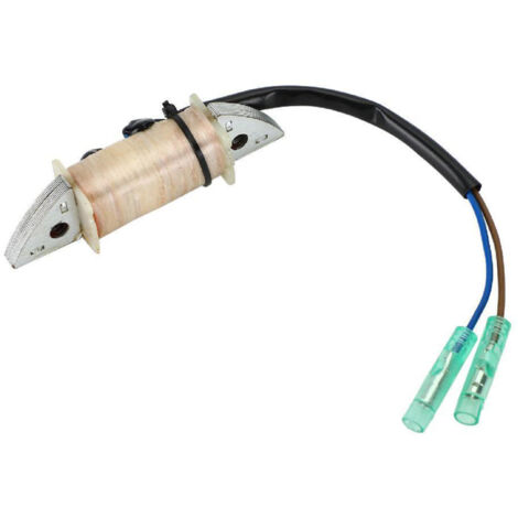 Bobine de charge et d'allumage pour moteur hors-bord Yamaha 15HP, compatible références 6B4-85520-00/63V-85520-00. (1/5)