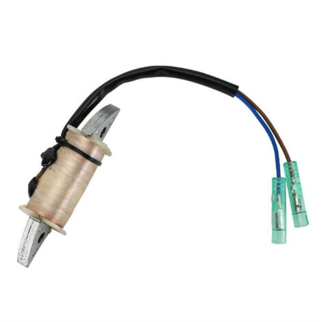 Bobine d'allumage et de charge pour moteur hors-bord Yamaha deux temps 15 chevaux, compatible référence 63V-85520-00. (1/5)