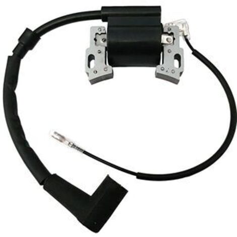 S-giant Bobine d'allumage compatible avec Coil Fits SV150 RV150 M150 V35 V40 (1/4)