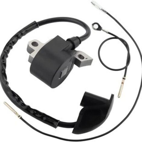S-giant Bobine d'allumage compatible avec FS400 FS450 FS480 4128 400 1306 (1/4)