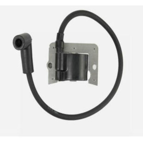 S-giant Bobine d'allumage compatible avec 47-584-01 47-584-02 47-584-03 47 584 01 (1/4)