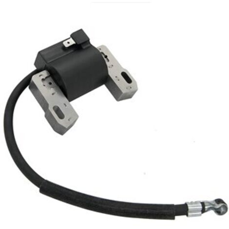 S-giant Bobine d'allumage compatible avec 691060 592846 799651 499447 (1/4)