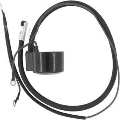 S-giant Bobine d'allumage compatible avec 4775520S 47-755-20-S (1/5)