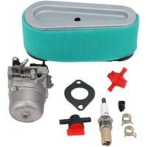 Carburateur compatible références 799728 498027 499161 498231 494502, carburateur Briggs & Stratton (1/2)