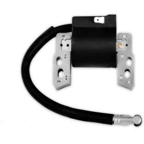 S-giant Bobine d'allumage compatible avec 590454 799381 790817 692605 (1/5)