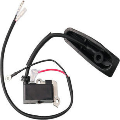 Bobine d'Allumage Compatible avec EBZ8500, EBZ8500RH, EBZ7500, EBZ7500RH, Référence 598471801 (1/5)