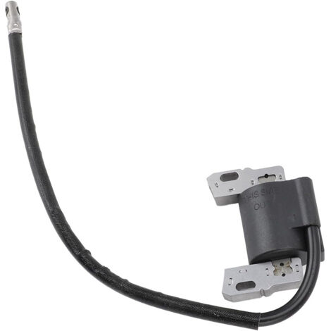 Bobine d'allumage Briggs & Stratton 492341, 495859, 491312, accessoire de réparation pour moteurs de tondeuses à gazon. (1/5)