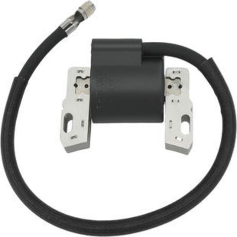 S-giant Bobine d'Allumage Haute Tension Compatible avec Références 490586, 492341, 690248, 715231 (1/5)