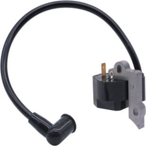 S-giant Bobine d'allumage compatible avec 545024901 530039237 578287001 (1/5)