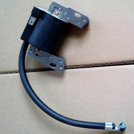 S-giant Bobine d'allumage haute tension et allumeur pour 398593 496914 591420 793281 793295 compatible. (1/2)