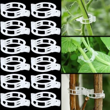 Attache Tomates Clips 200PCS Clips de Support pour Plantes Tuteur Plante Grimpante Clips de Vigne pour Haricots Légumes, Fleurs