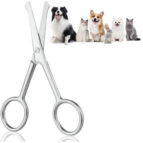 Ciseaux de Toilettage - Professionnel - 10.5 cm - Acier Inoxydable - Pointe Ronde - Ajustable (1/4)