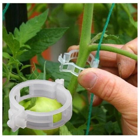 Clips pour Plantes - Taille Unique - Lot de 100 - Blanc - Support pour Tomates - Matériau Plastique (1/4)