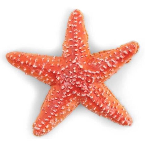 Jouet cognitif - Science et éducation - Étoile de mer - Plastique - Décoration aquarium - Simulation marine (1/3)