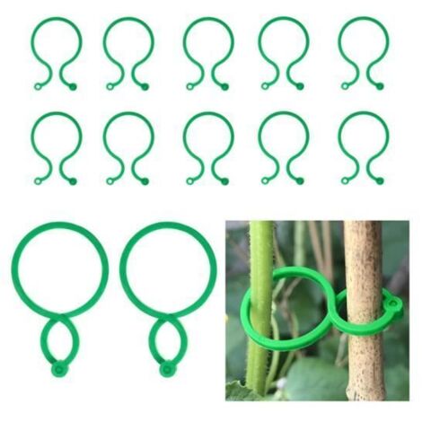 Attache Plante de Jardin - Support pour Plantes - Clips Réutilisables - Pack de 50 - Vert (1/4)