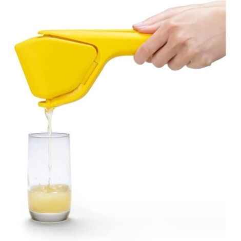 Presse-Citron Presse-agrume en métal de qualité supérieure, Presse Manuelle pour extraire Le jus Le Plus Possible (1/4)