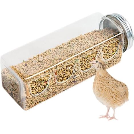 Mangeoire à oiseaux - Marque - Modèle - 4 ports sans désordre - Portable en forme de bouteille (1/4)