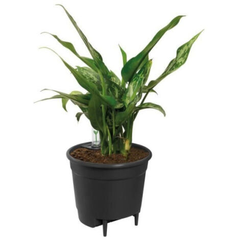Elho Pot de fleurs auto-arrosant 36 - Noir - Ø 36 x H 35 cm - Accessoires d'intérieur - 100 % recyclé (1/9)