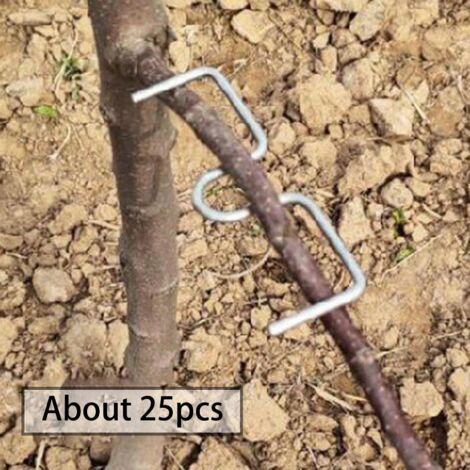 Formateur de tiges pour plantes Écarteur de branches d'arbre M10cm (1/5)
