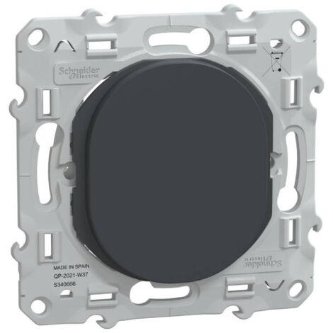 obturateur - anthracite - schneider electric s340666 (1/5)