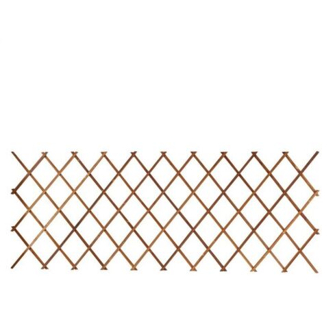 Treillis, Cadre d'escalade télescopique anti-corrosion pour mur de jardin de cour - 44x31cm 2pieces - RWTreillis (1/3)